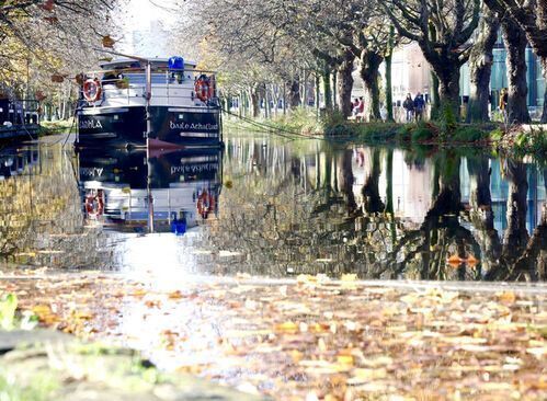 Leaves on Water
