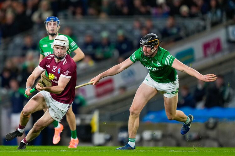 St. Martin's late victory sparks exhilaration in Wexford 