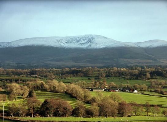 Irish American execs invited to join 32 County-hike for cancer charity