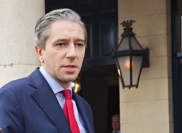 GERRY ADAMS: Simon Harris is stating the bleedin' obvious