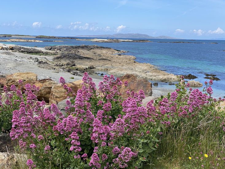 Virgin Media Business Honors Irish Hotels