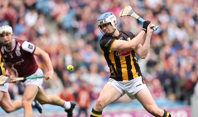 Kilkenny take 6th Leinster title in row against lackluster Galway