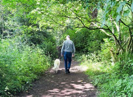 One Man and His Dog