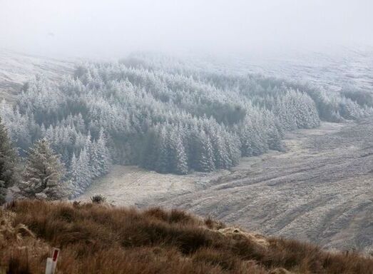 Wicklow Winter Scene