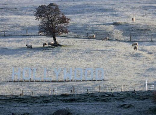 A Frosty Morning in Hollywood