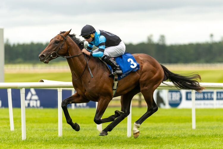 Giant Sequoia wins for O'Brien