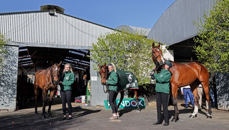 2026 Aintree Grand National weights published