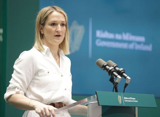 McEntee Expresses Ireland's Concerns