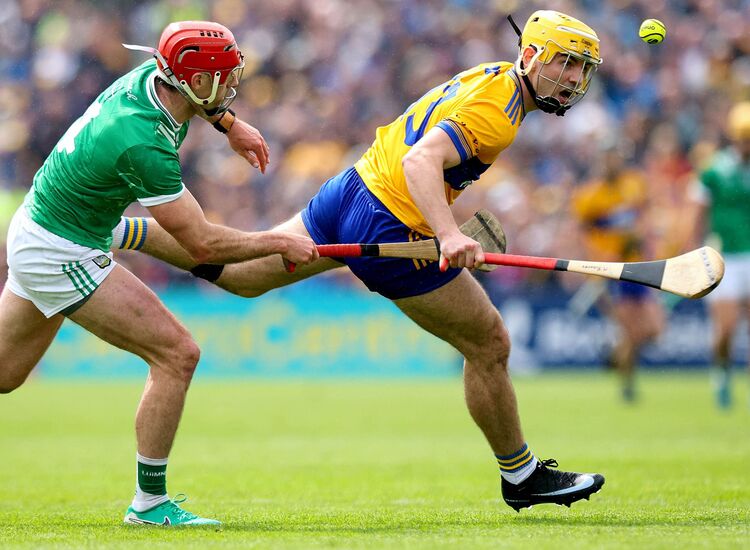 Hurling is 20-yr project: Burns