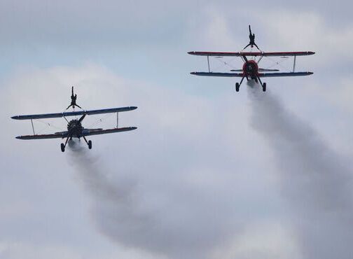 Wings Over Wickow