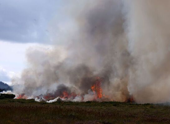 Fire Returns