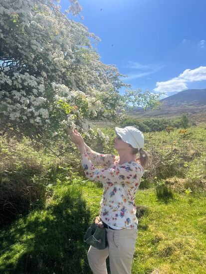Crafting Spirits in Kerry