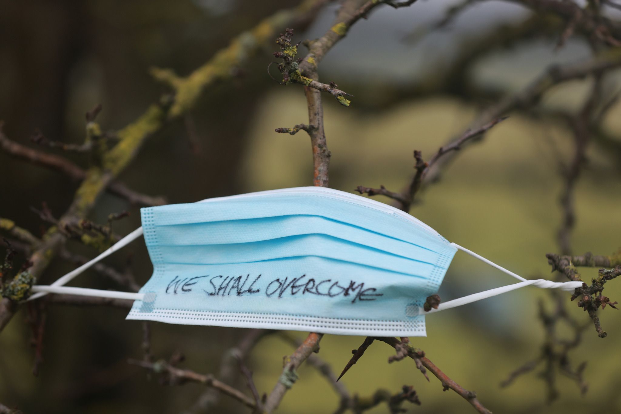 This mask, the work of visual artist Eamonn Farrell, was attached to a Whitethorn tree in County Kildare. RollingNews.ie photo.