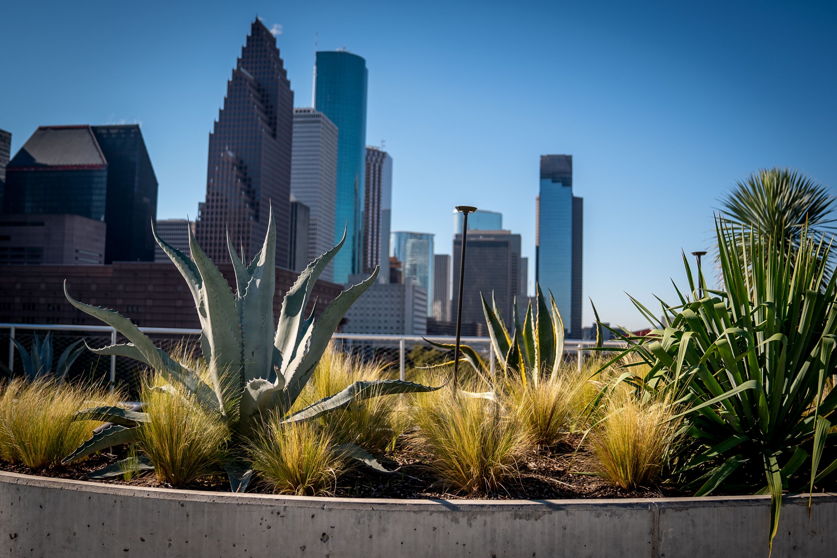 NÁ BAC LE TEXAS - DON'T MESS WITH TEXAS: Houston's St Thomas' University is a base for Gaeilge studies
