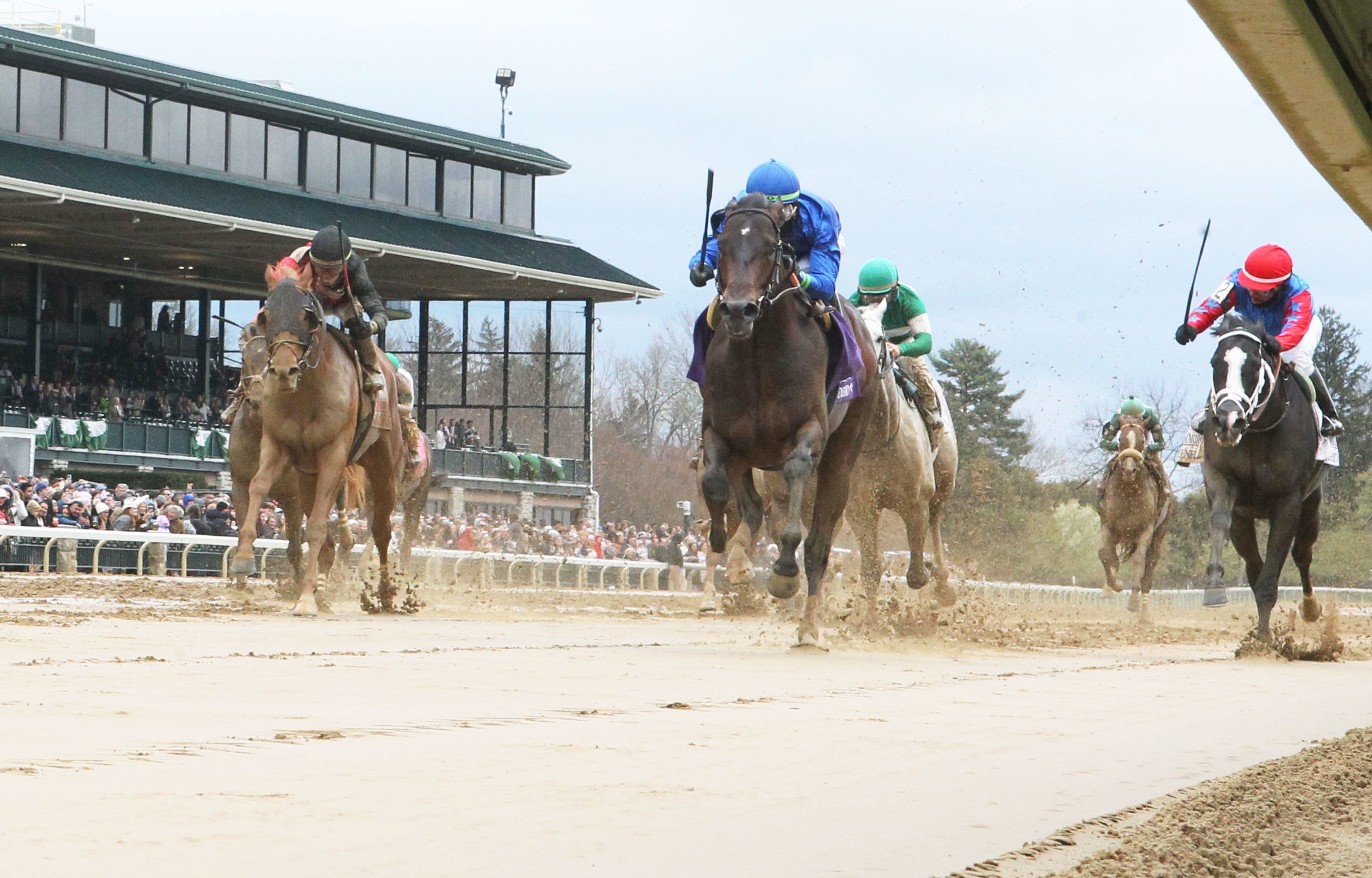 Prevalence, Tyler Gaffalione up, leads the field home in the Commonwealth Stakes at Keeneland. COADY PHOTOGRAPHY