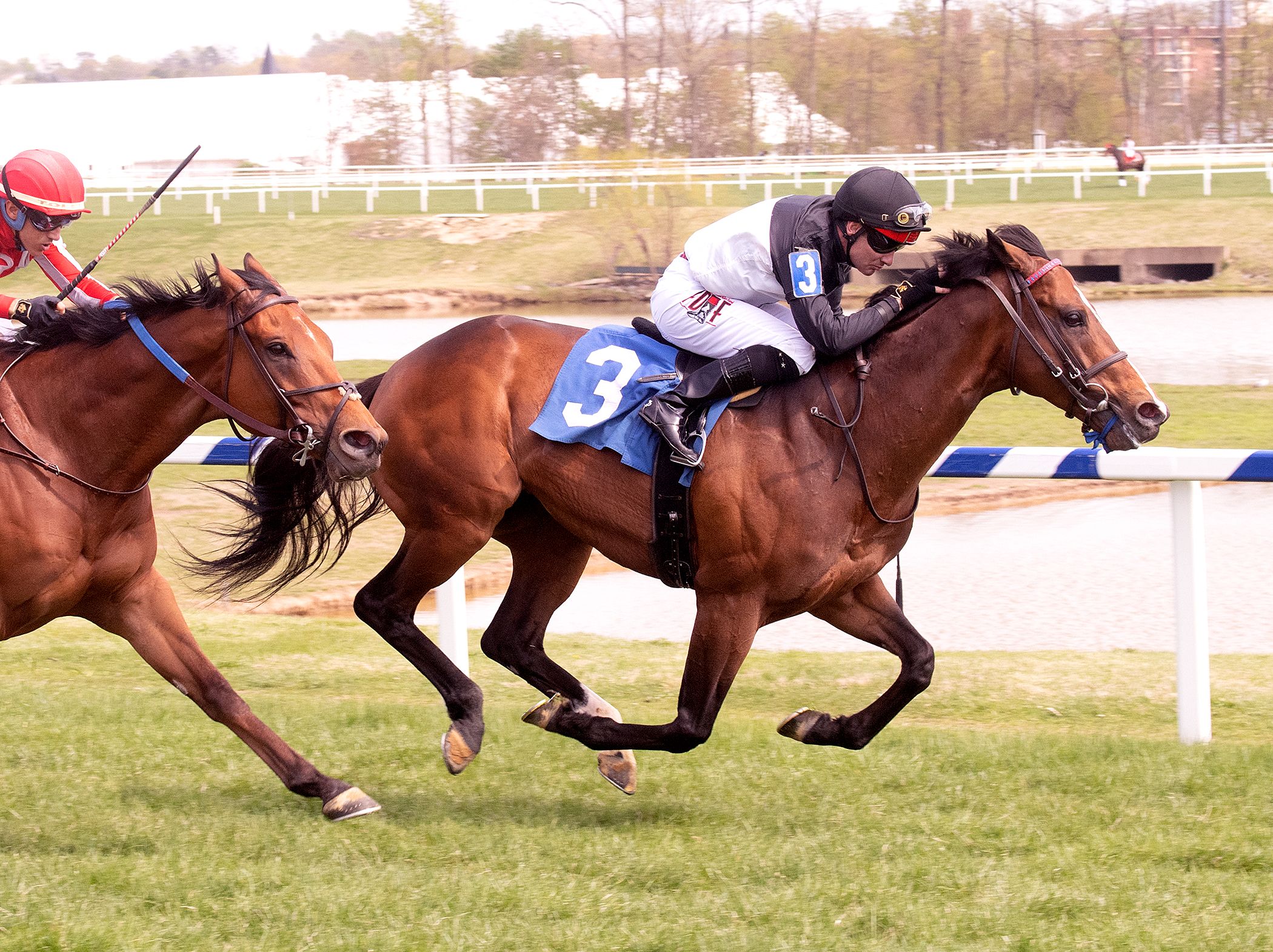 True Valour, Fergal Lynch up, shown winning the King Leatherbury Stakes at Laurel. JIM MCCUE