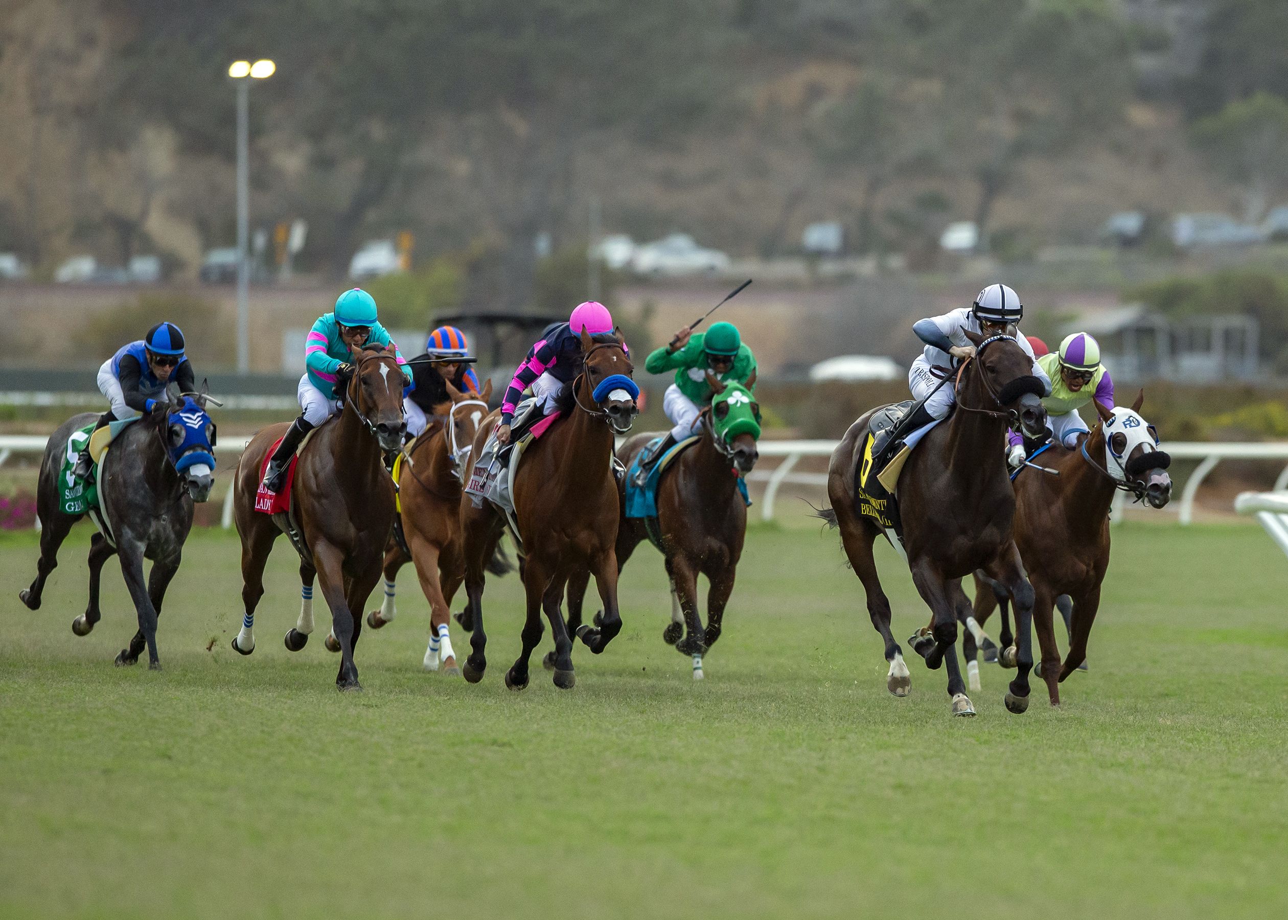 Bellabel, Umberto Rispoli up, leads the field home in the San Clemente Stakes at Del Mar in San Diego. BENOIT PHOTOGRAPHY