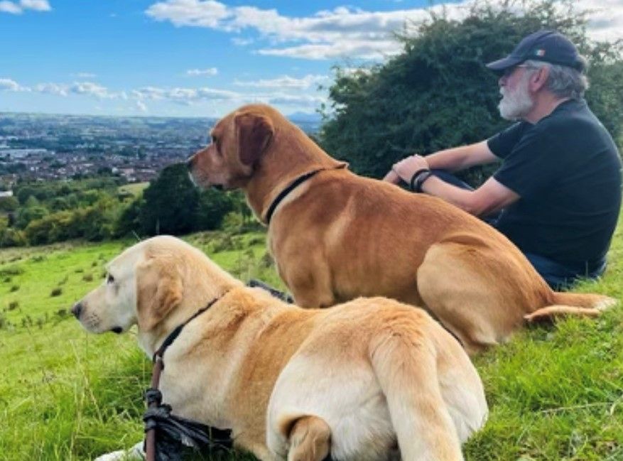 One man and his two dogs.