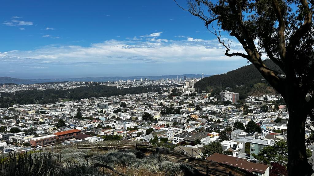 HIGH TIMES: Breathtaking views of San Francisco from atop the hidden stairways
