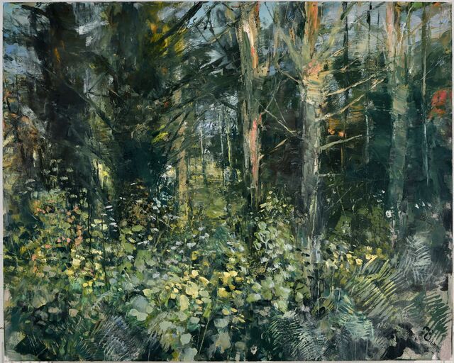 Woodland VIII 2023 120 x 150 oil on canvas_Donald Teskey.jpeg Woodland VIII 2023 120 x 150 oil on canvas_Donald Teskey.jpeg