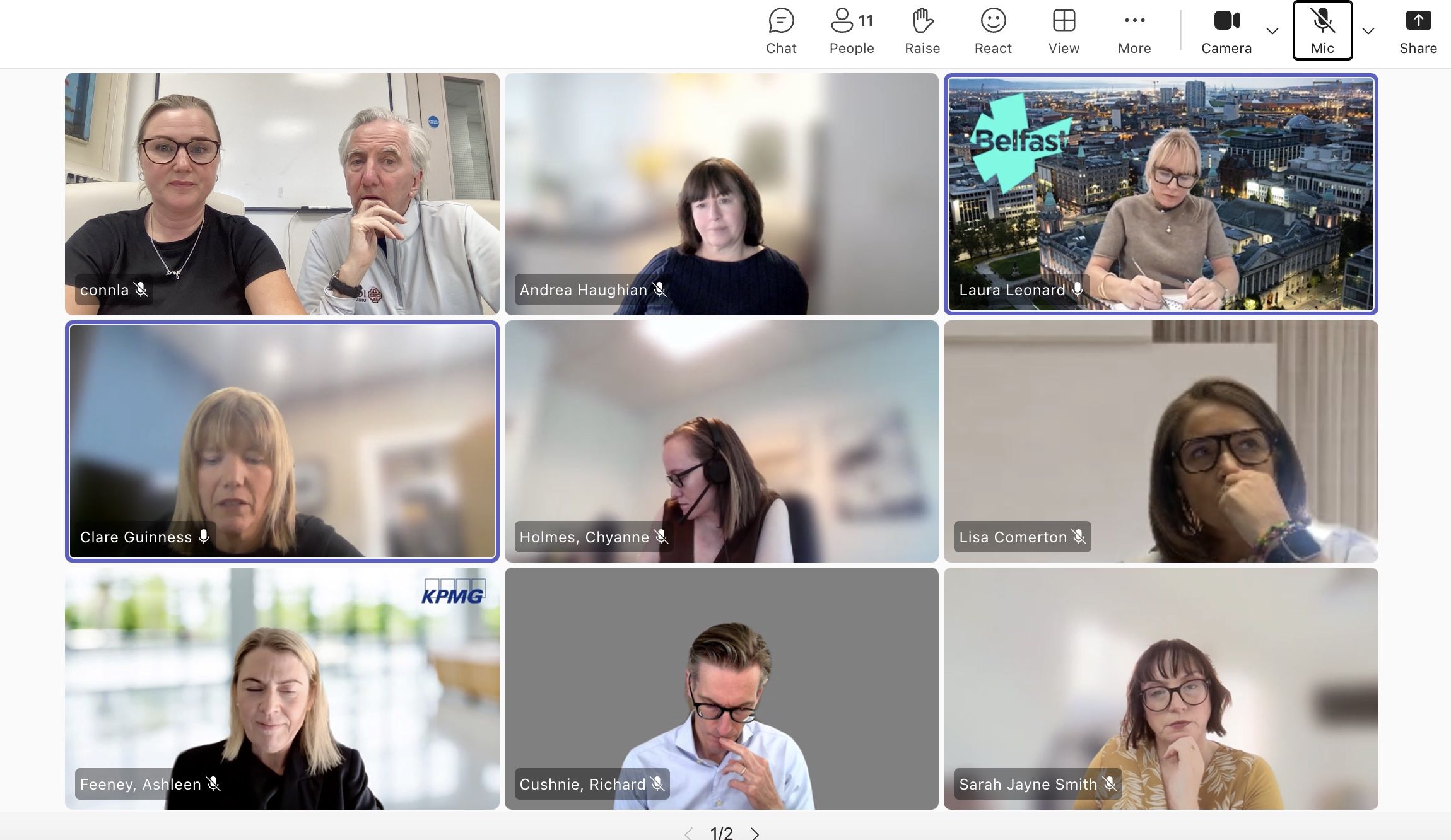 PLANNING PROCESS: Partners in the NY-New Belfast conference meeting online yesterday